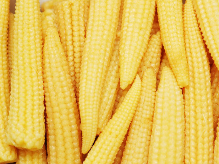 What Is Baby Corn 