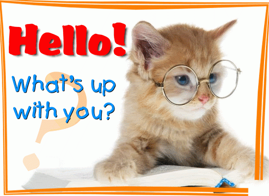 What s Up With You Free Hi hello ECards Greeting Cards 123 Greetings