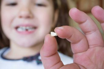 What To Do With Baby Teeth Fun And Useful Possibilities LoveToKnow