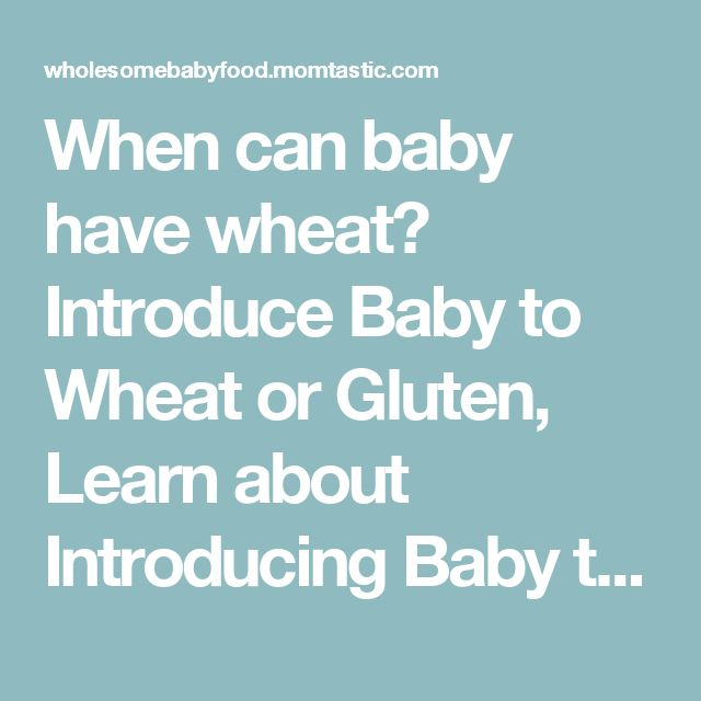 When Can Baby Have Wheat Introduce Baby To Wheat Or Gluten Learn 