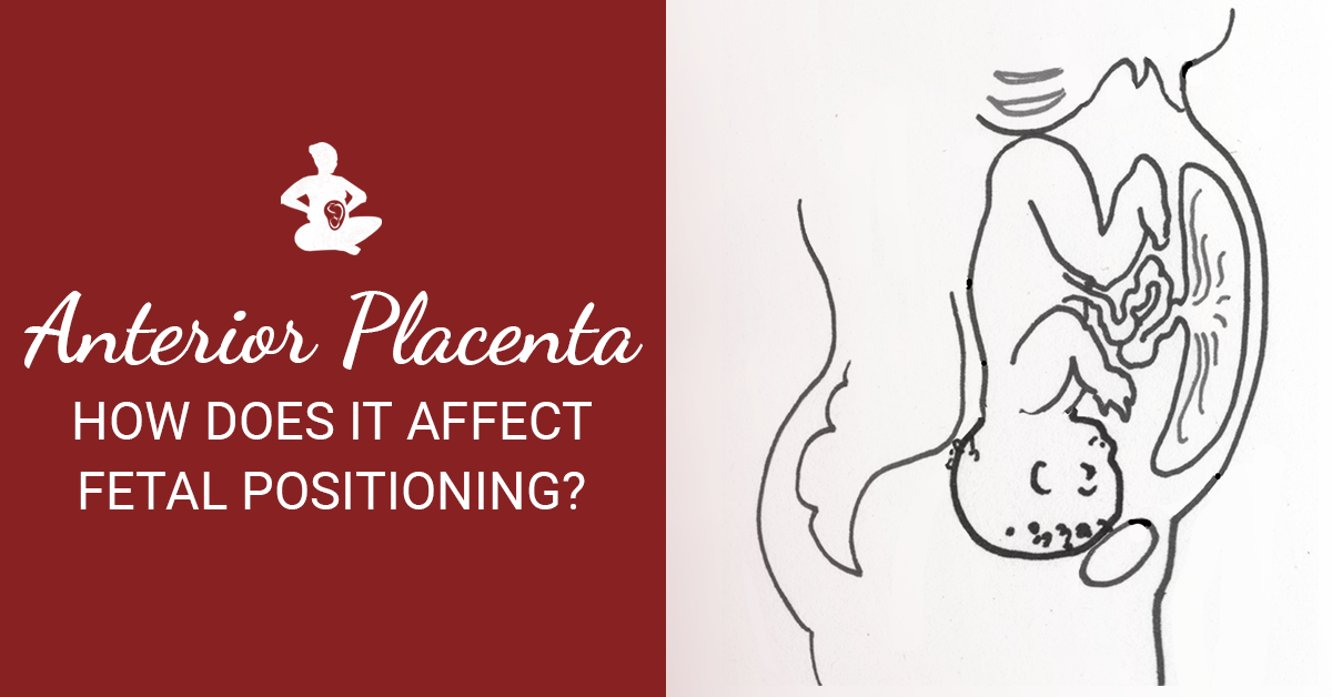 When Can You Feel Fetal Movement With An Anterior Placenta Pregnancy