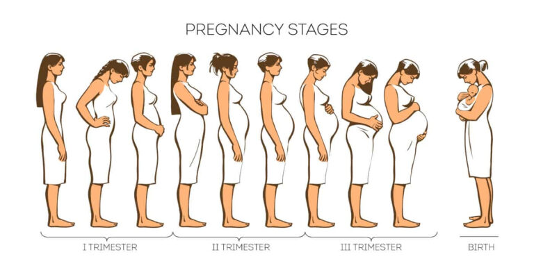 When Did You Start Showing First Time Mom Or With The Second Baby 