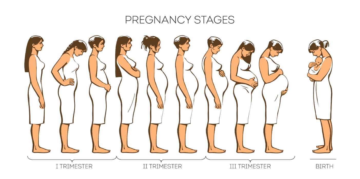 When Did You Start Showing First Time Mom Or With The Second Baby 