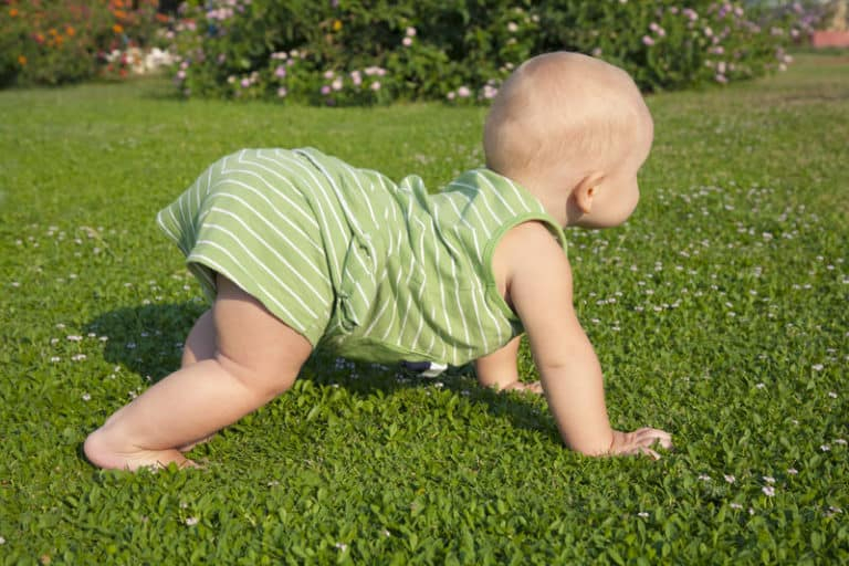 Why Does My Baby Crawl With One Leg 8 Different Ways Your Baby Might 